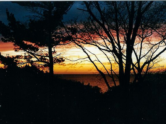 Sunrise