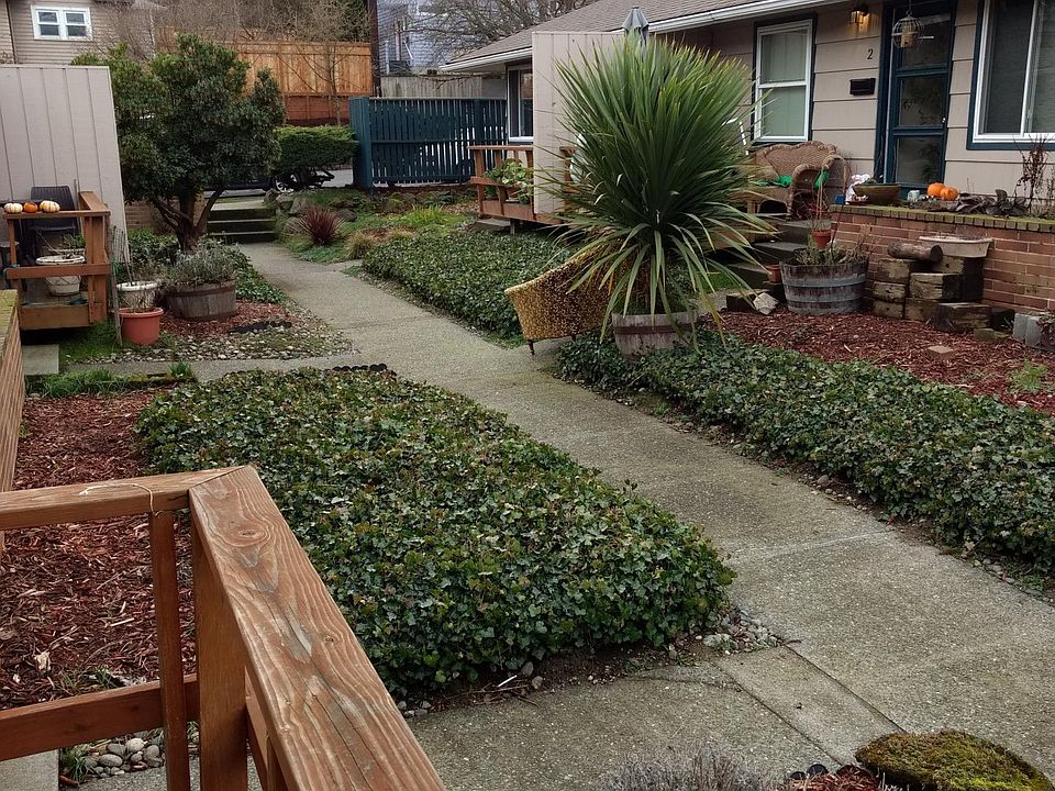 1st image of 206 Florentia St #3