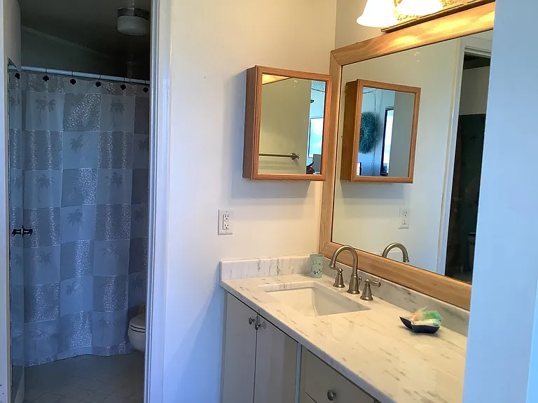 Master bathroom with walk in shower