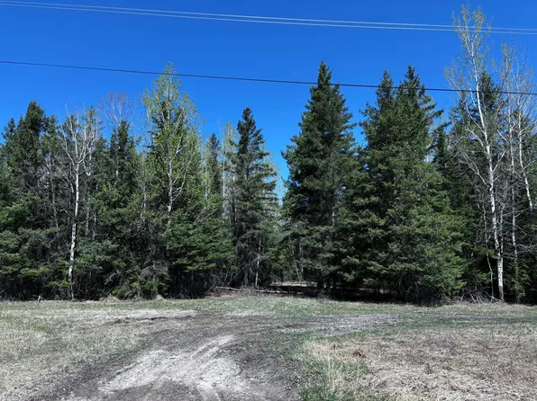 Town Rd #286, International Falls, MN 56649