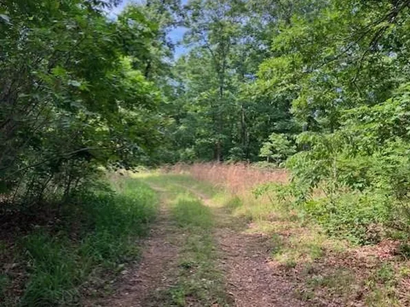 80 Reynolds Cres #362, Lesterville, MO 63654