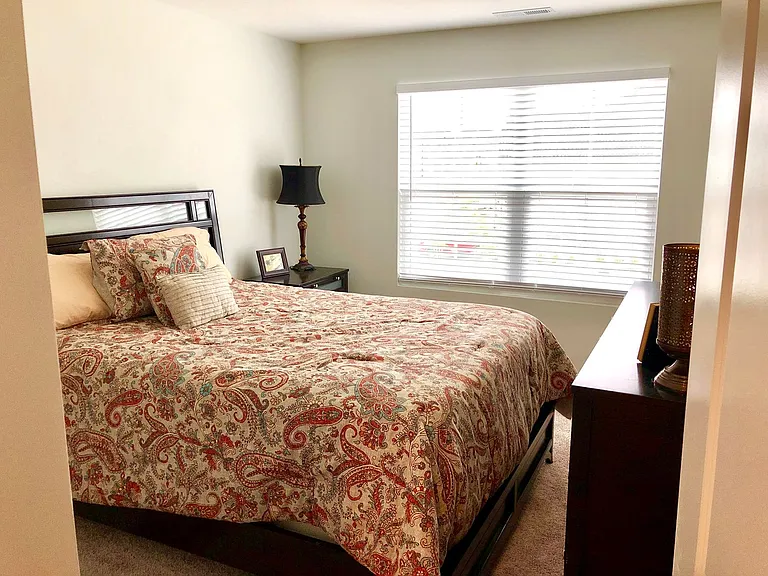 705 Crimson Sage Ln — Photo 17