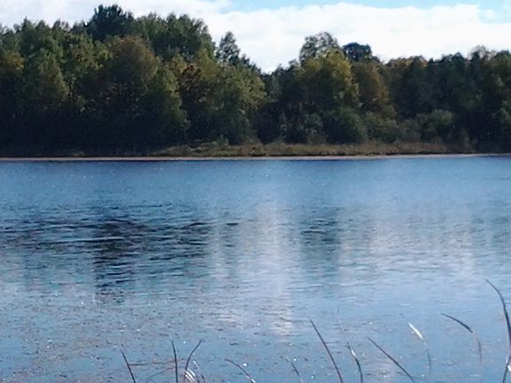DEER LAKE