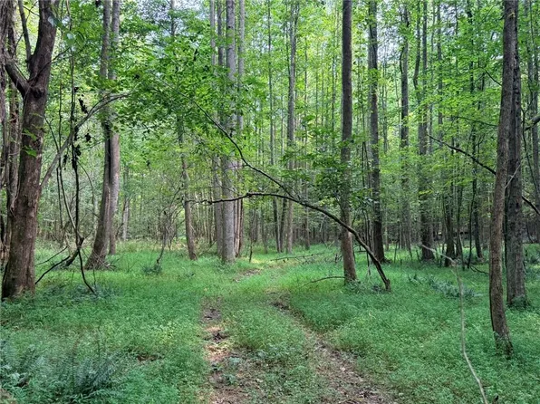 LOT 4 Pettit Rd #4-5, Jasper, GA 30143