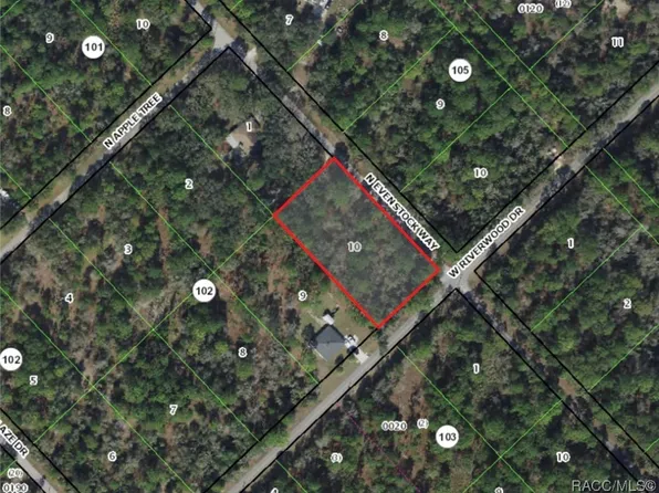 9344 N Evenstock Way, Crystal River, FL 34428