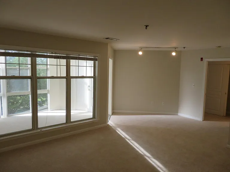 5565 Seminary Rd #208 — Photo 41