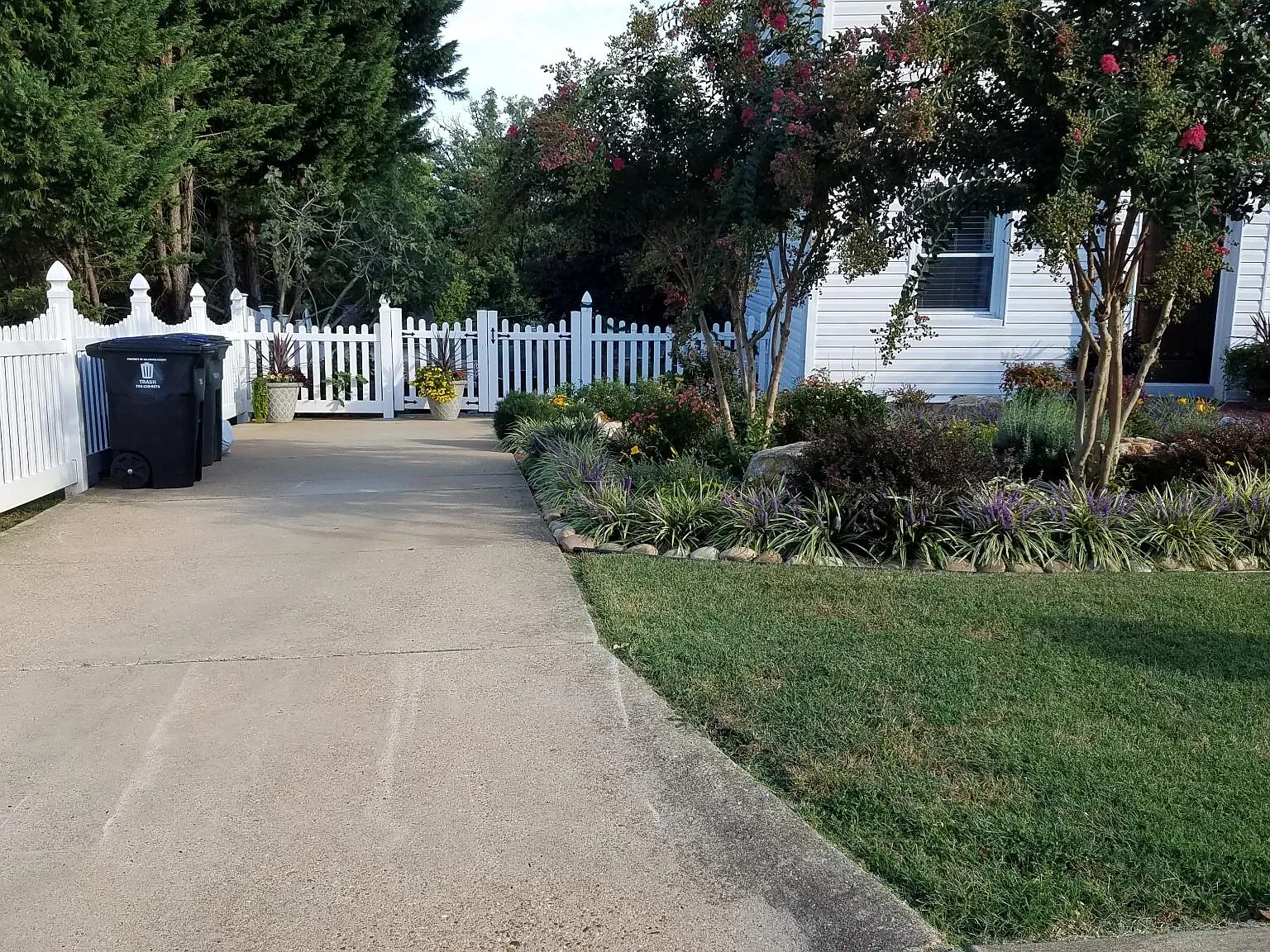 1 bed, 564 sqft, $1,700 — Photo 3