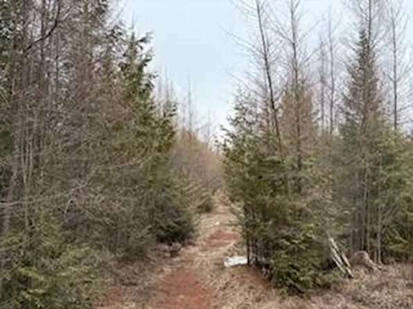 W10668 Winkle Rd, Gresham, WI 54128