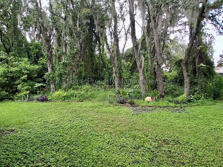 12928 Terrace Springs Dr — Photo 22