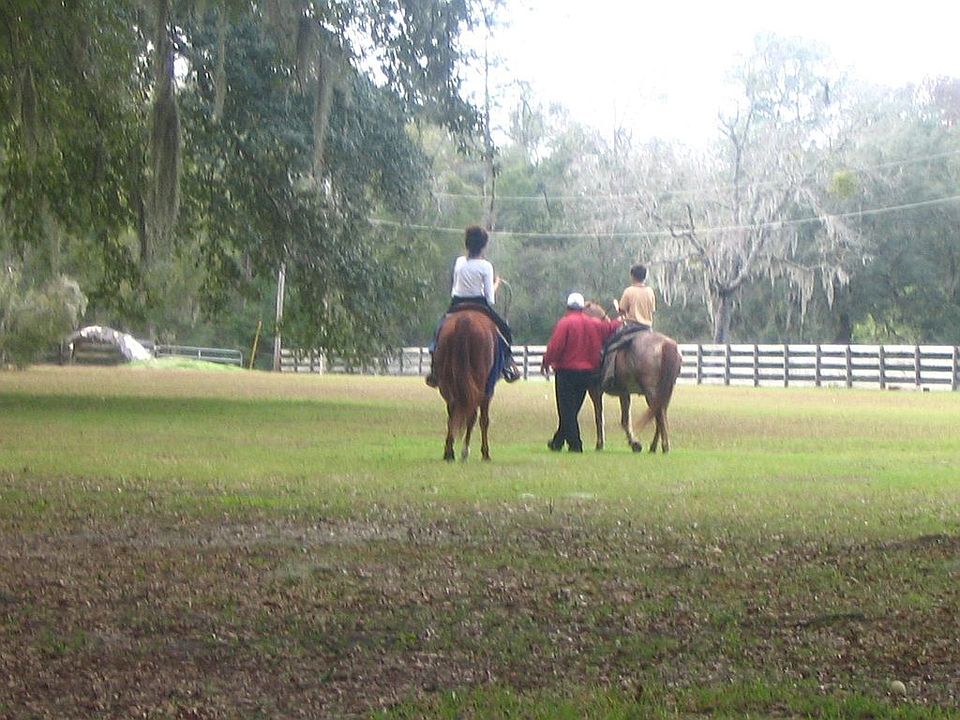 pasture