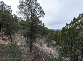101 Timberline Ct, Ruidoso, NM 88345