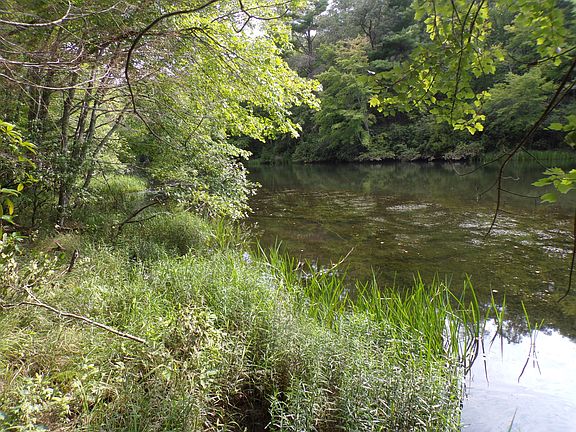4th image of 3 Basses Creek Ln