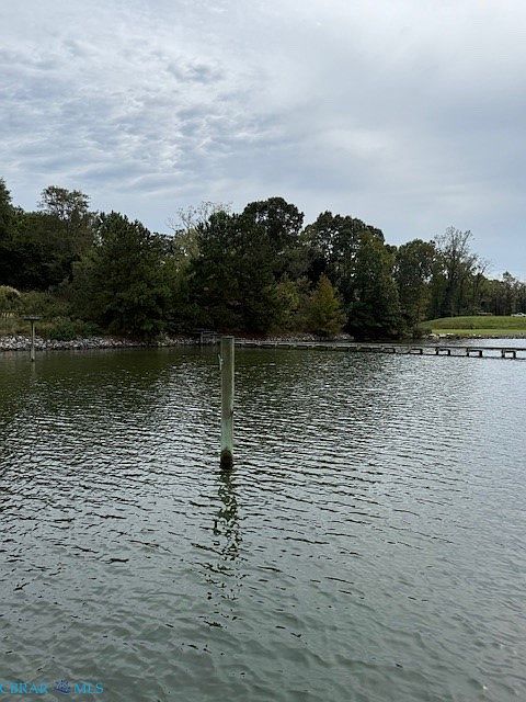 1st image of 2 Oyster Poin #2