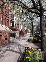 Rented by Halstead Real Estate