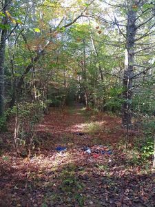 0 Kaleb Trl, Mineral Bluff, GA, 30559