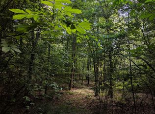 2935 Mount Ararat Rd, Darden, TN 38328