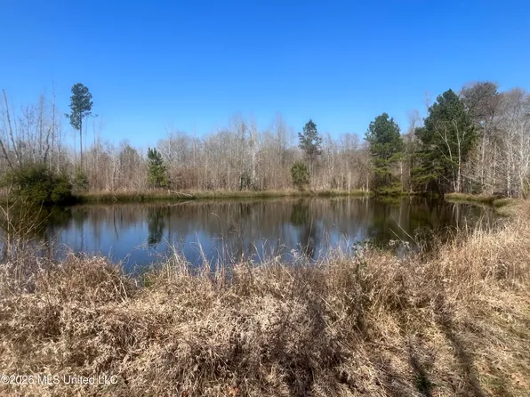 2104 Us Highway 51, Bogue Chitto, MS 39629