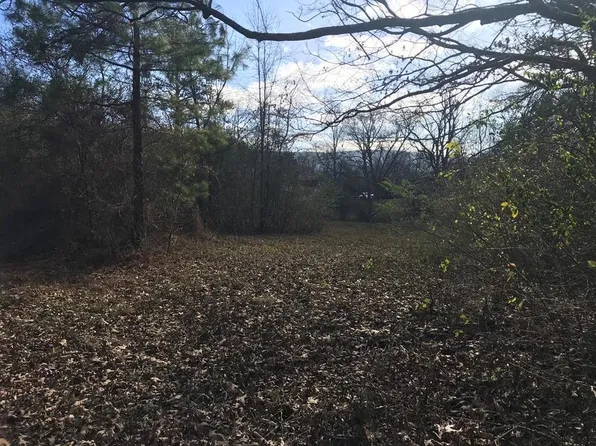 119 Alabama Ave, Etowah, TN 37331