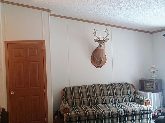 5th image of 167 Mill Rd