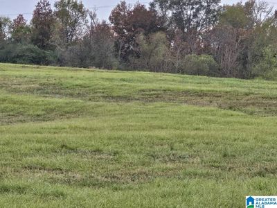 0 County Road 351 #1, Maplesville, AL, 36750