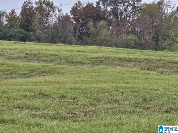 0 County Road 351 #1, Maplesville, AL 36750