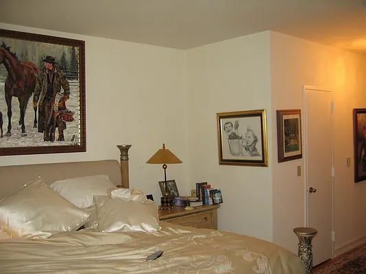 Rented by NY NY Condo, Inc | media 35