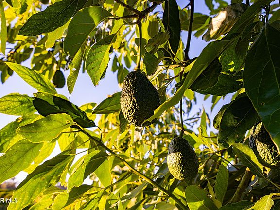 5th image of 12072 Broadway Rd