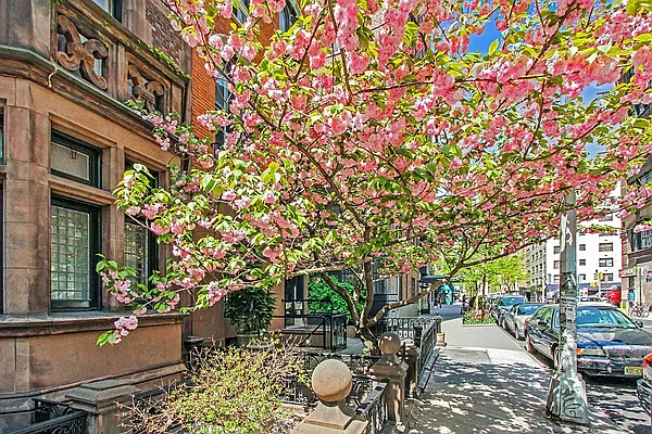 Sold by Douglas Elliman | media 15