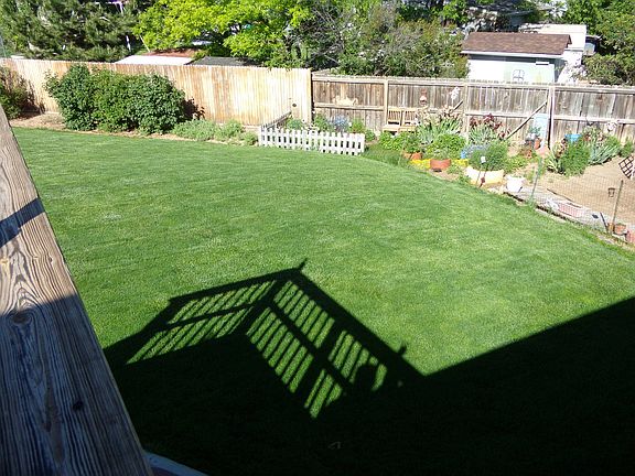 Backyard lawn area