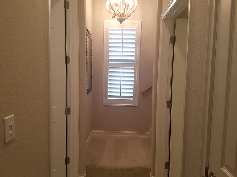 10908 Bullrush Dr — Photo 24