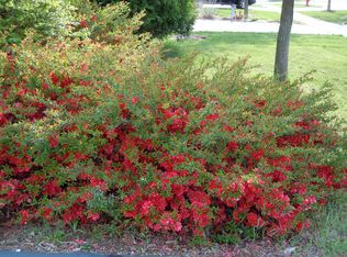 2959 Husking Peg Ln, Geneva, IL 60134