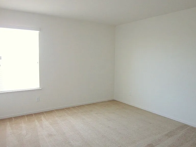 2554 Pine Brook Dr — Photo 11