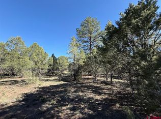 Lot 5 Cottontail Lane, Ridgway, CO 81432