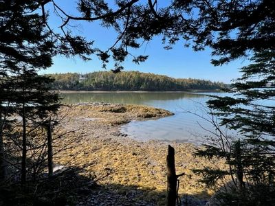 Lot 13 Collins Cove Road, Machiasport, ME, 04655