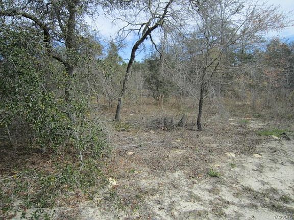 5th image of 1905 W Wavecrest Dr