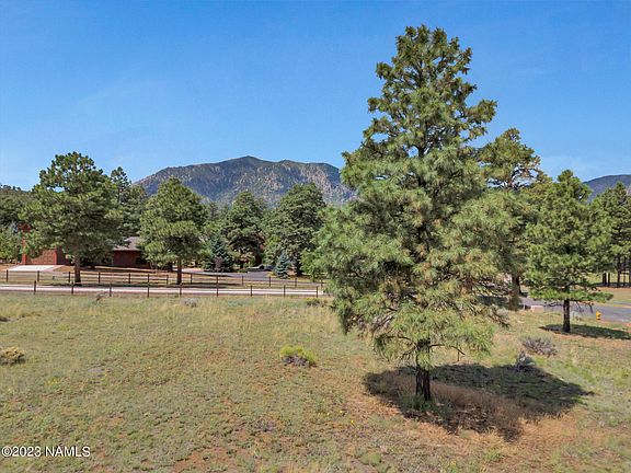 2nd image of 7021 Oakwood Pines Dr