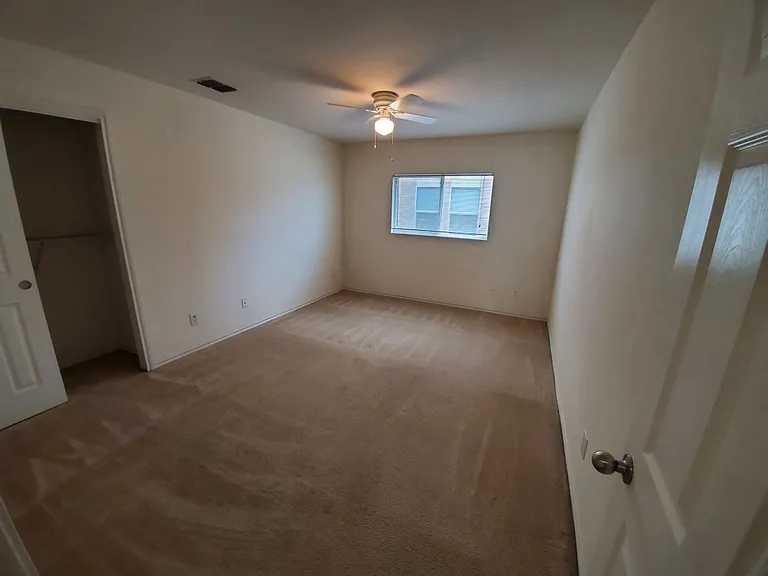 25714 Gold Yarrow — Photo 7
