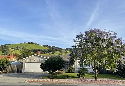 596 Curie Dr Photo 1