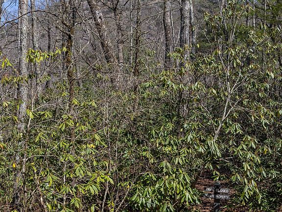 4th image of 54 Ramble Ridge Road