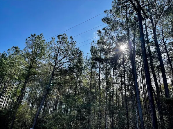 6/AC S County Road 3400, Colmesneil, TX 75938