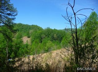 20 Arrington Branch Rd, Marshall, NC 28753