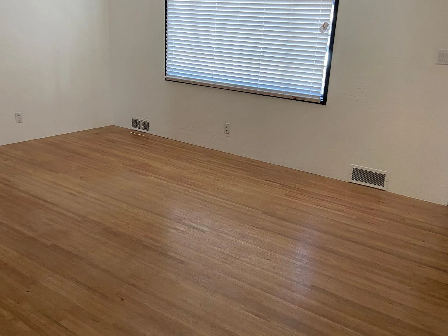 1320 Vitalia St — Photo 3