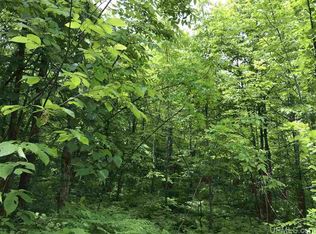 Black River Rd, Bessemer, MI 49911