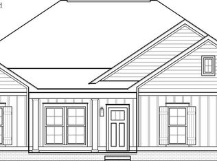 229 Adkinson Rd, Newton, AL 36352