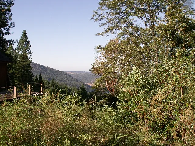10607 Pine Meadow Rd photo 1