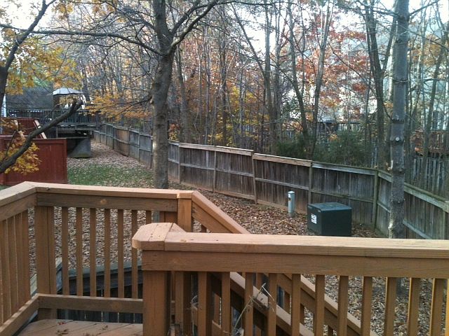 Wood deck backs to trees