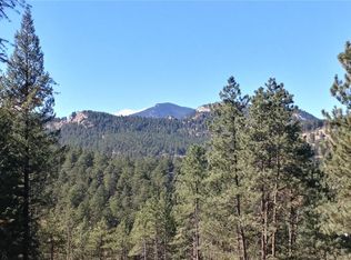 5217 Mountain Vista Ln, Evergreen, CO 80439
