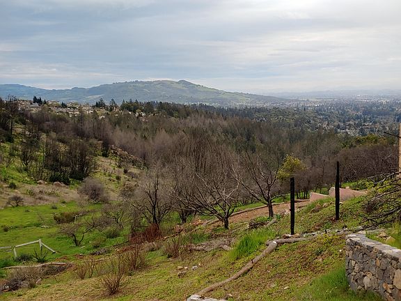 Post-fire view of Open Space