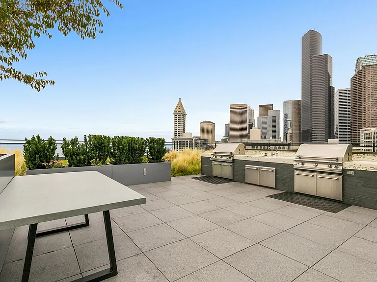 roof top bbqs