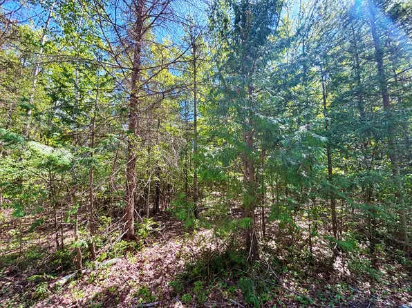 LOT 52 Belfair Dr, Presque Isle, MI 49777